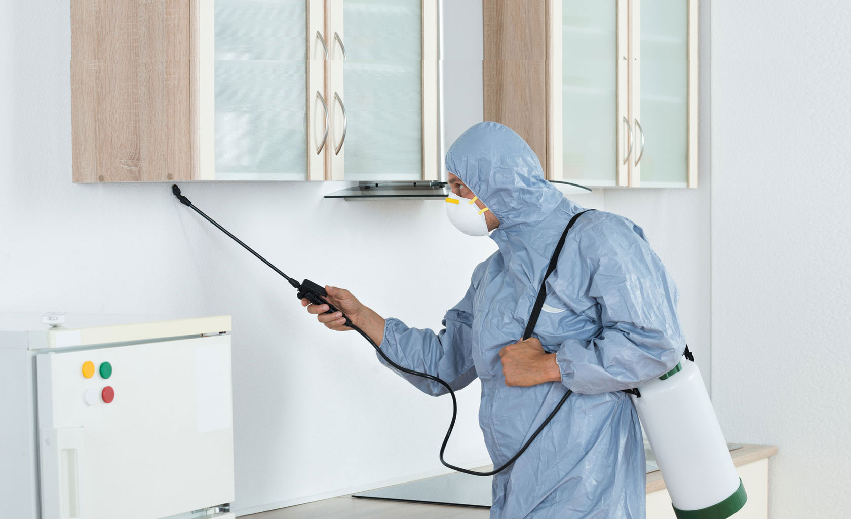 Importance of Using Pest Control Services That Are Safe For Kids