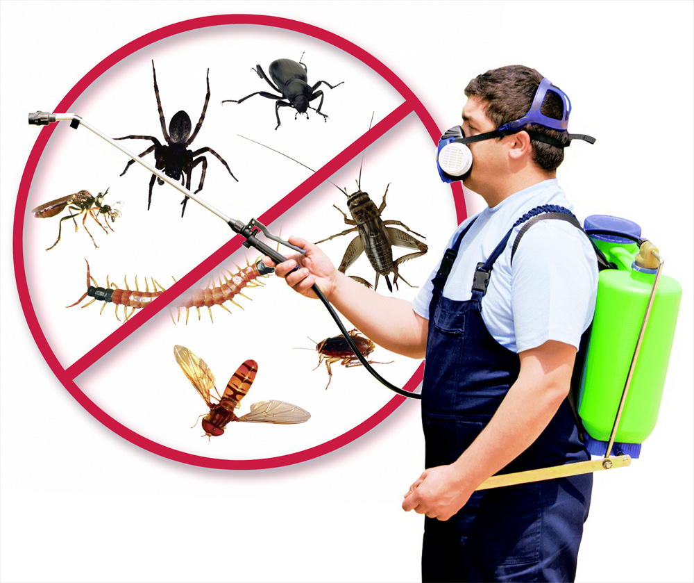 What is Natural Mosquito Control?